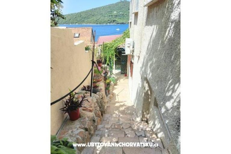 Apartamenty Villa Riva Molunat – foto 9