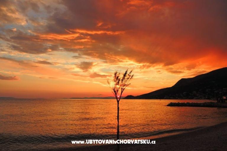 Beach apartments Villa Mirjana – foto 10