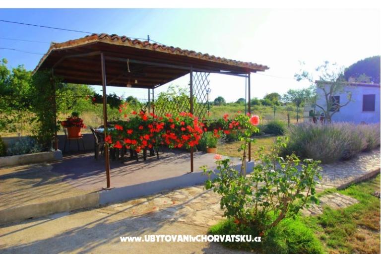 Apartament Sandra  – foto 8