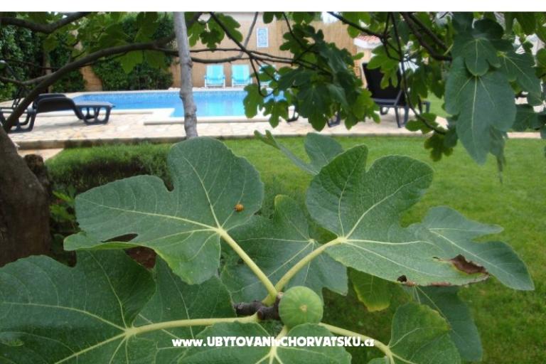 Apartamenty Dorijo – foto 8