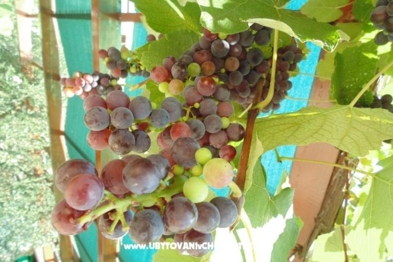 Apartamenty Josipović – foto 6