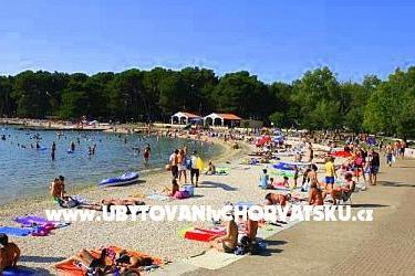 Apartament Zoran - Valbandon  – foto 10