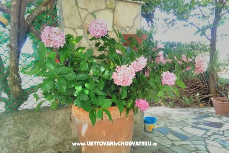 Luka – foto 2