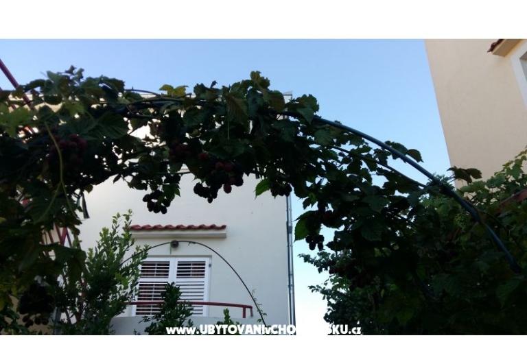 Apartamenty Matej – foto 14