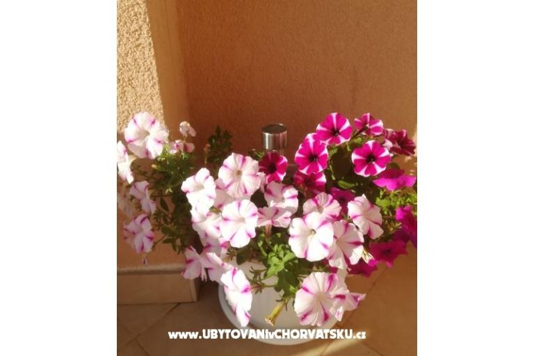 Apartamenty Colić – foto 9