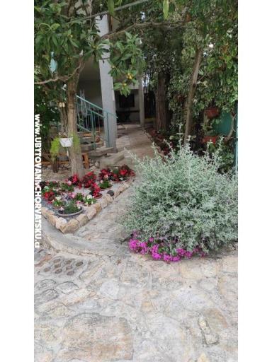 Apartamenty Ela – foto 17