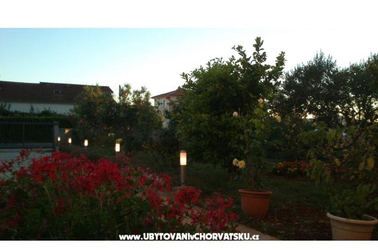 Apartamenty Iva – foto 10