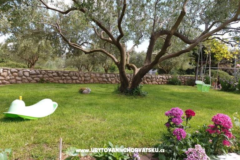 Apartamenty Marina – foto 4