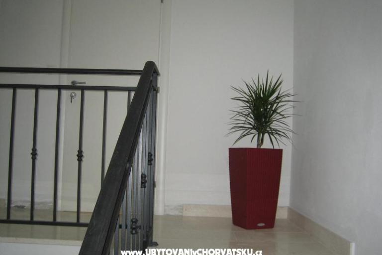 Apartamenty Roje Sv. Filip i Jakov – foto 16