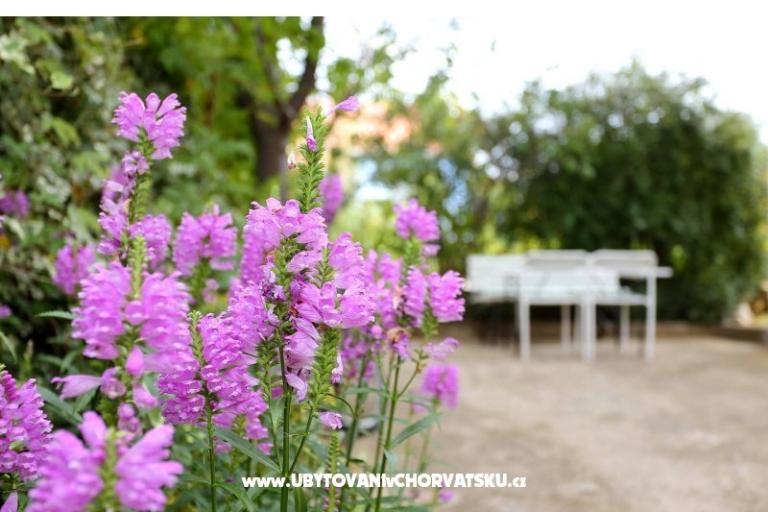Apartamenty M – foto 8