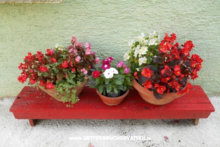 Apartamenty Mirjana – foto 12