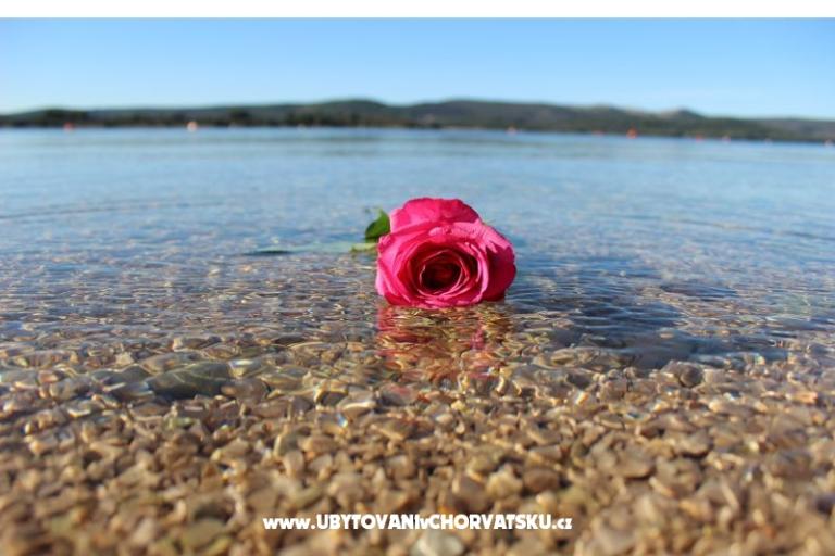 Beach Dom Amarella – foto 14