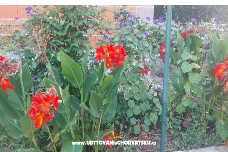 Apartamenty Misulic Turanj – foto 16