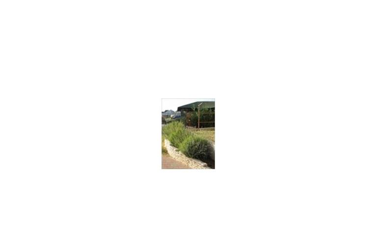 Villa Tri Palme – foto 17