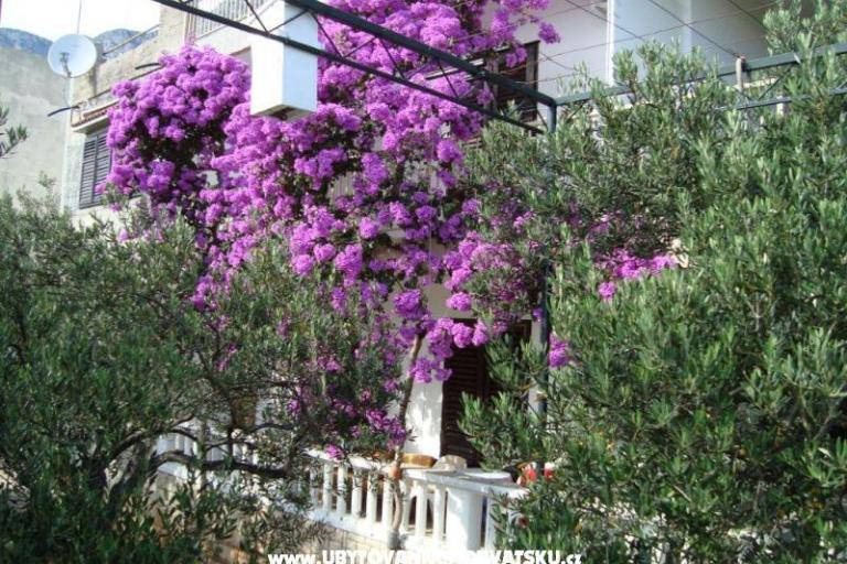 Apartament Gradac Falak – foto 13