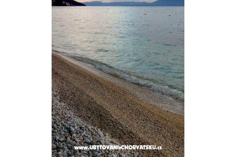 Apartamenty Delfin – foto 16