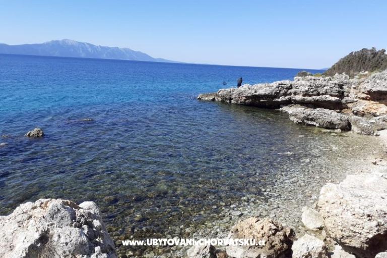 Apartamenty lujo – foto 10