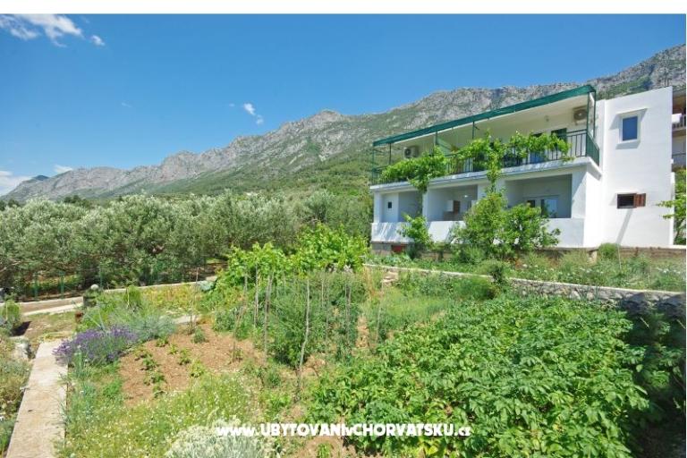 Apartamenty i sobe Maslina – foto 12