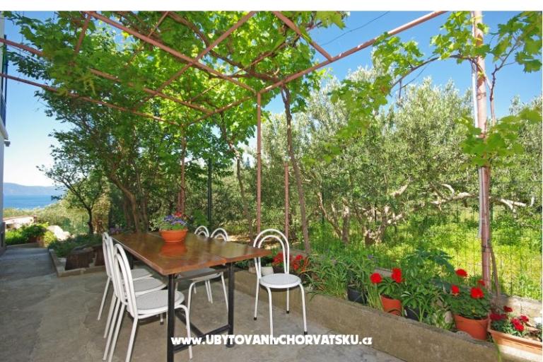 Apartamenty i sobe Maslina – foto 16