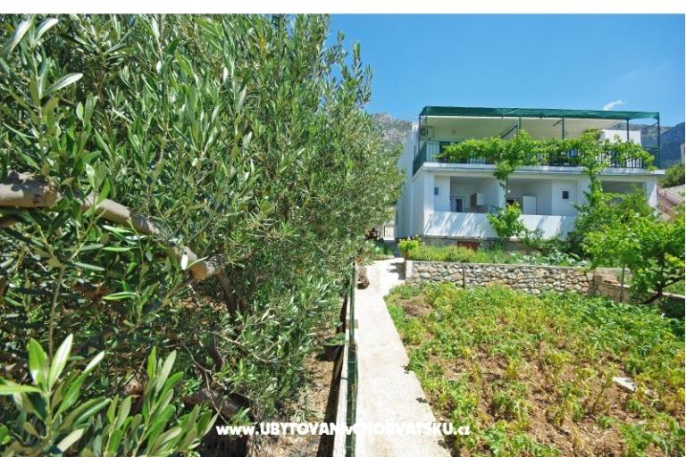 Apartamenty i sobe Maslina – foto 9