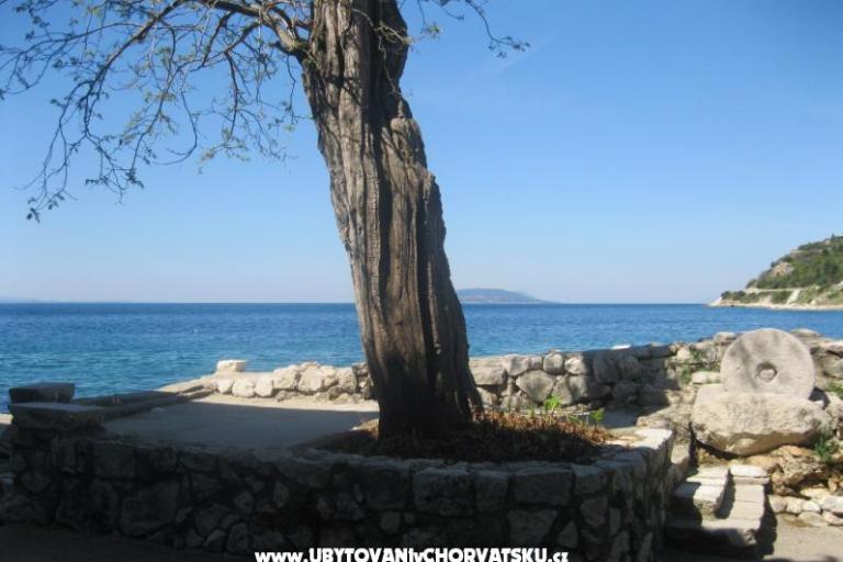 Apartament Ines – foto 9
