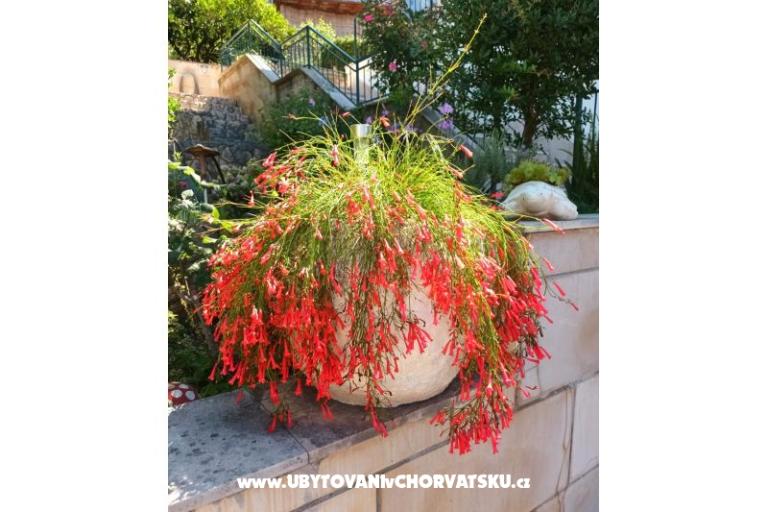 Apartamenty Ivana  – foto 19