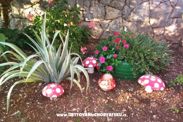 Apartamenty Ivana  – foto 25