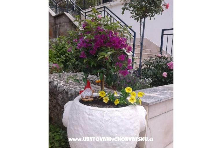 Apartamenty Ivana  – foto 26