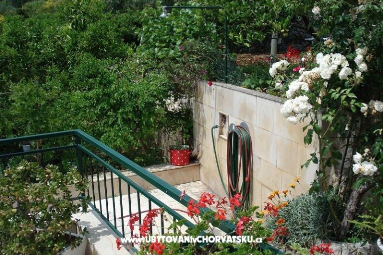 Apartamenty Ivana  – foto 4