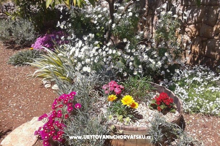 Apartamenty Ivana  – foto 8