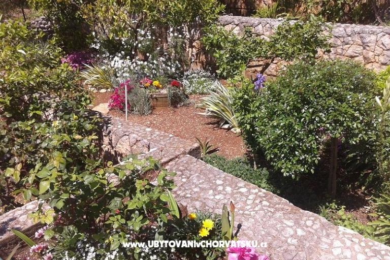 Apartamenty Ivana  – foto 9