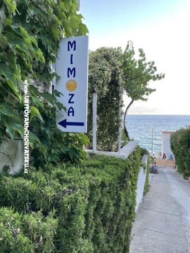 Apartamenty Mimoza – foto 11