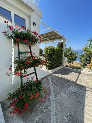 Apartamenty Mimoza – foto 14