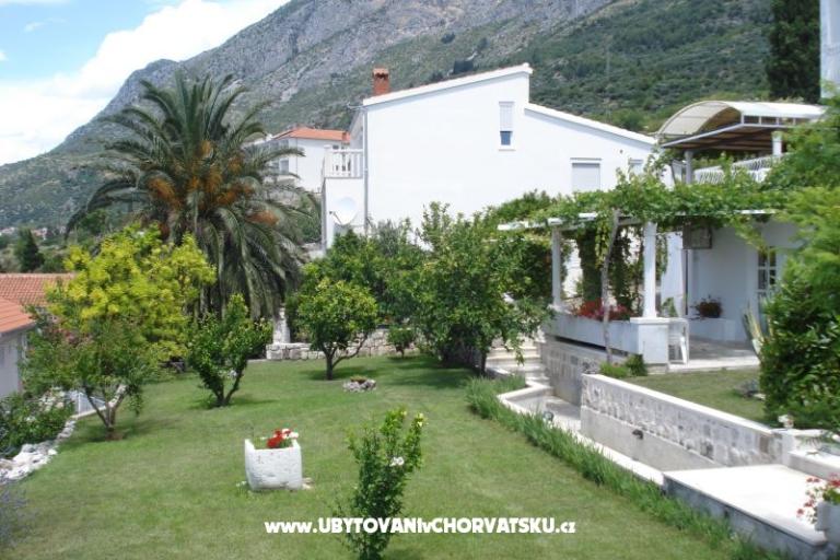 Apartamenty Mimoza – foto 16