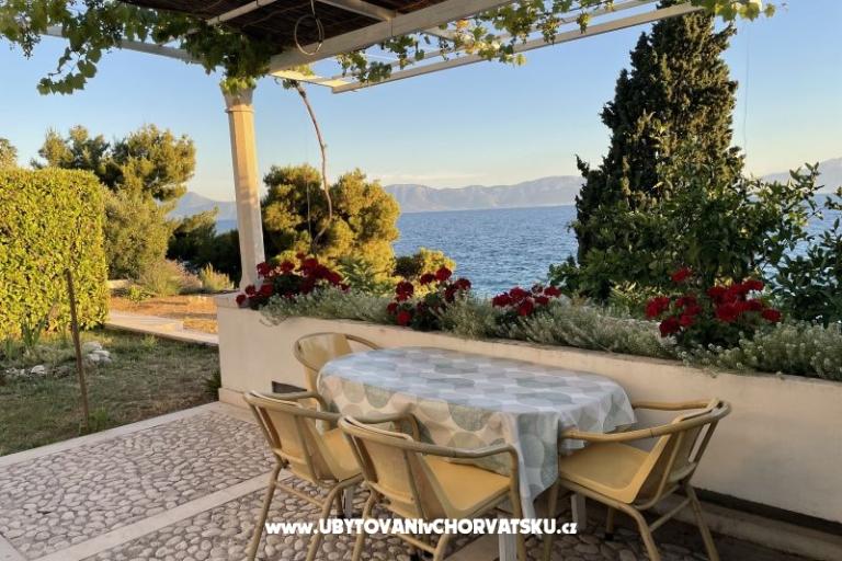 Apartamenty Mimoza – foto 7