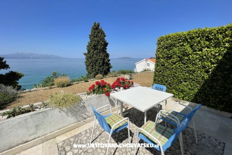 Apartamenty Mimoza – foto 9