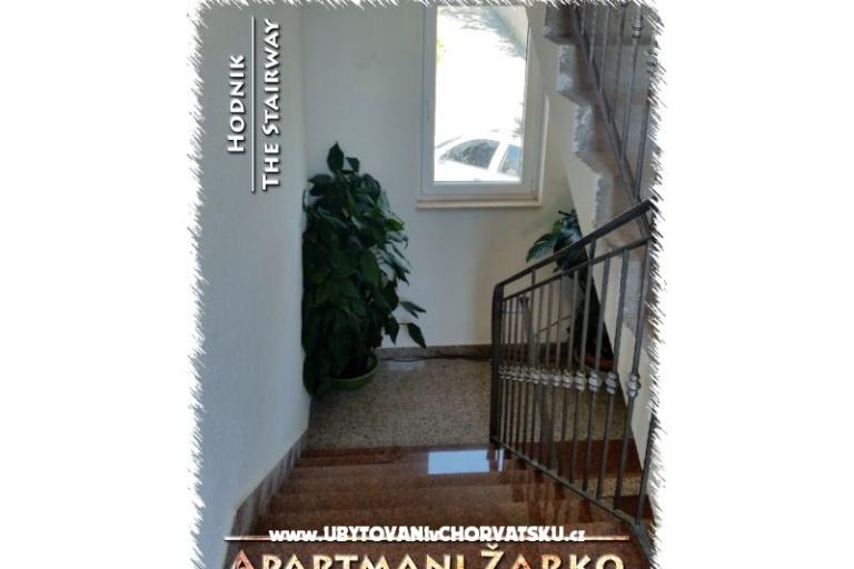 Apartamenty Žarko – foto 15