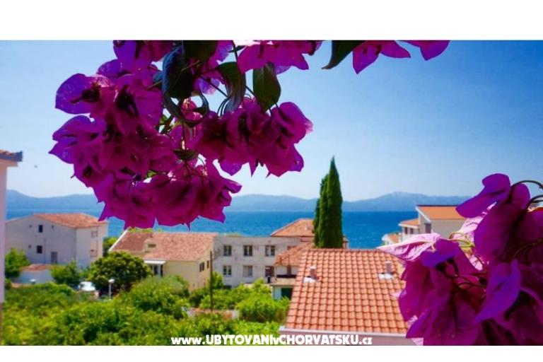Apartamenty Jerković Gradac – foto 7
