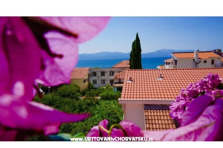 Apartamenty Jerković Gradac – foto 8