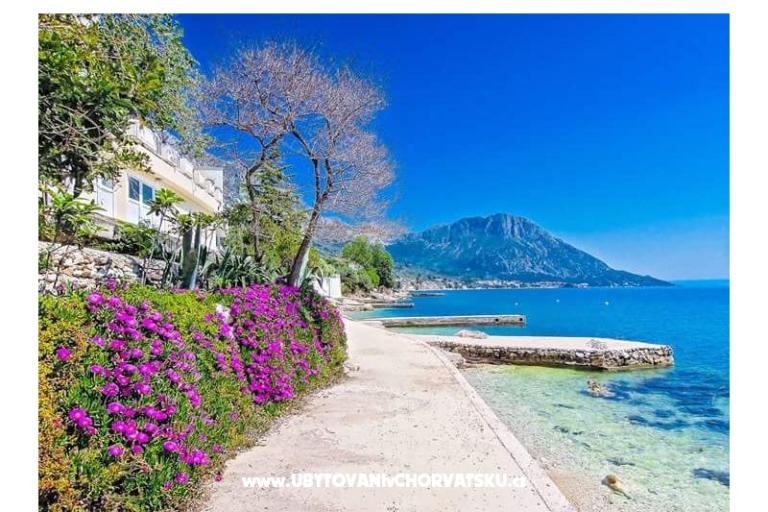 Apartamenty Pećar – foto 12