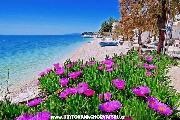 Apartamenty Pećar – foto 6