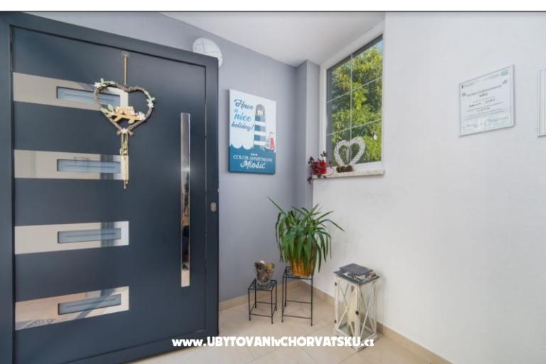 Color Apartamenty Miošić – foto 8