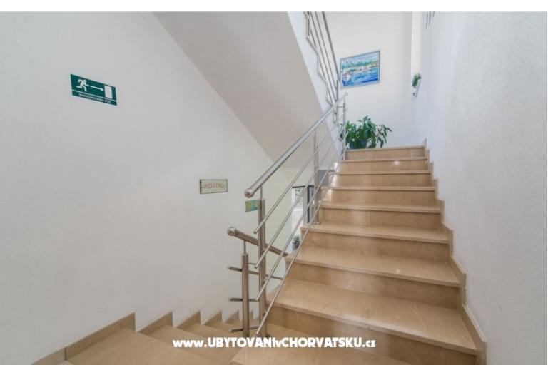 Color Apartamenty Miošić – foto 9