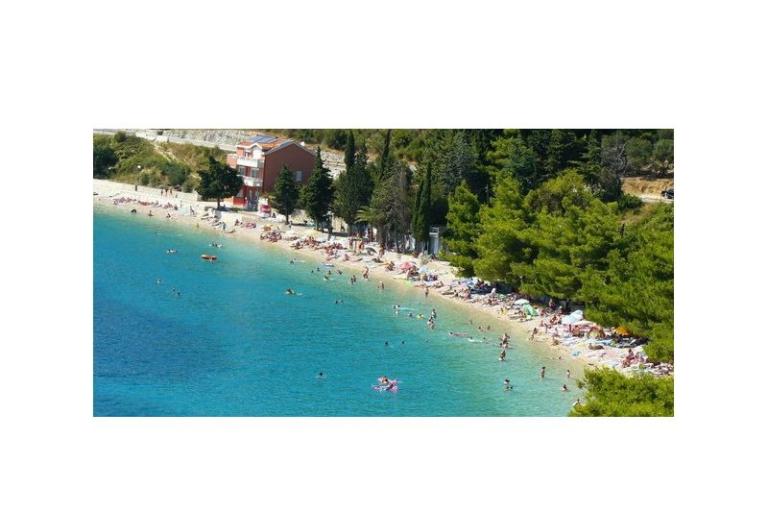 Goga – foto 15