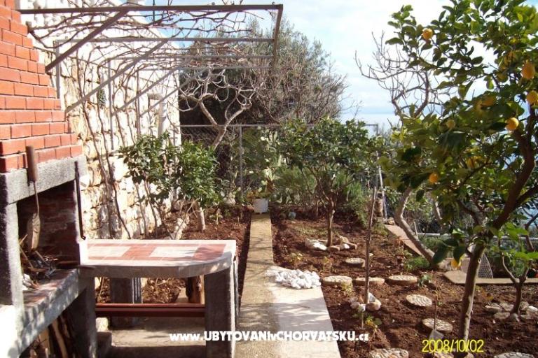 Apartamenty Duda – foto 15
