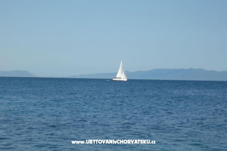 ART AND NATURE  – foto 13