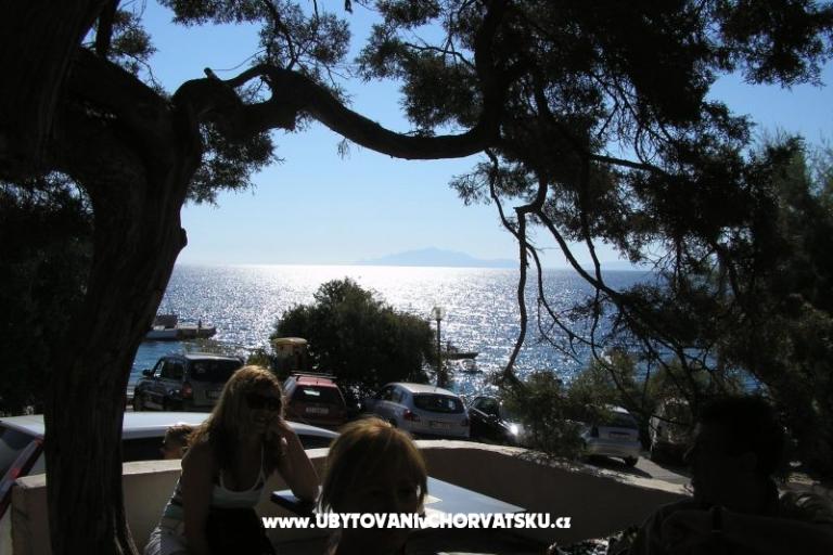 ART AND NATURE  – foto 18