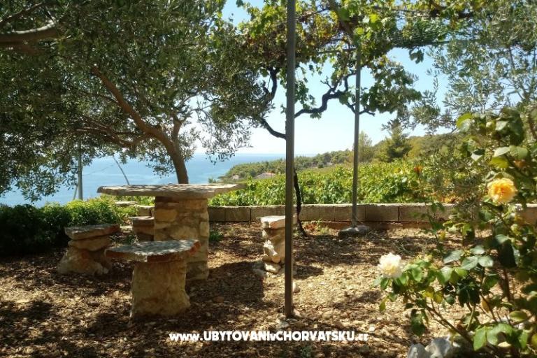 ART AND NATURE  – foto 2