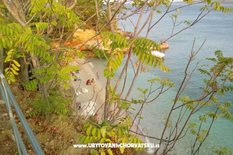 ART AND NATURE  – foto 3