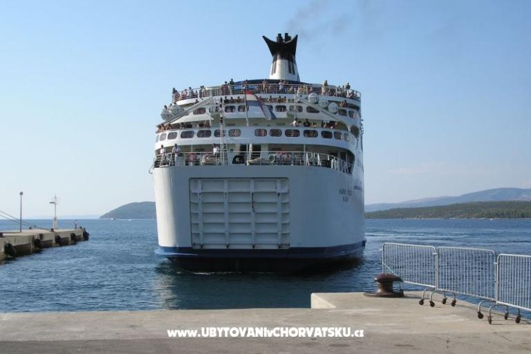 ART AND NATURE  – foto 9